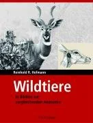wildtiere in bildern zur vergleichenden anatomie b iext142155112