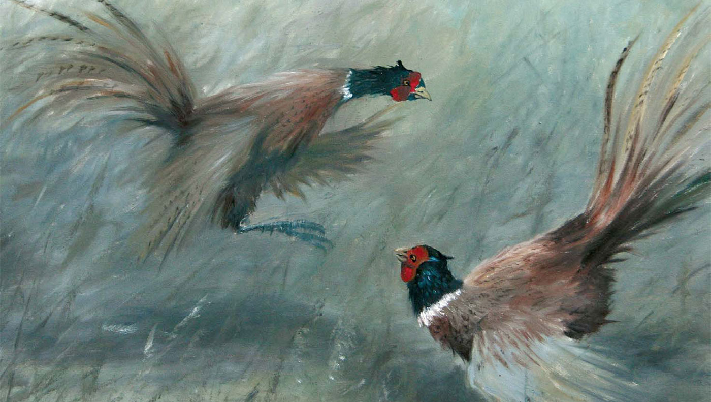 Unterstützung bei schöpferischen Beiträgen zur Jagdkultur